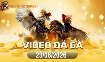 img video da ga cpc4 1787529618